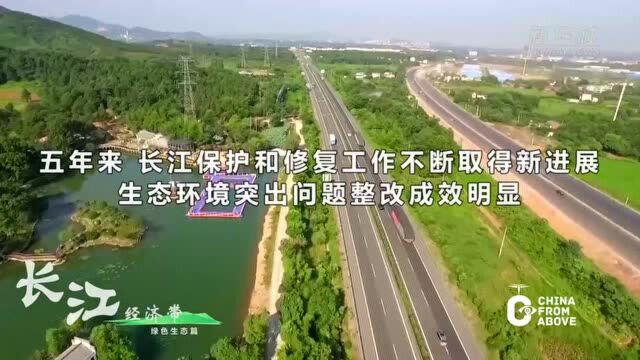 瞰中国|长江经济带——绿色生态篇