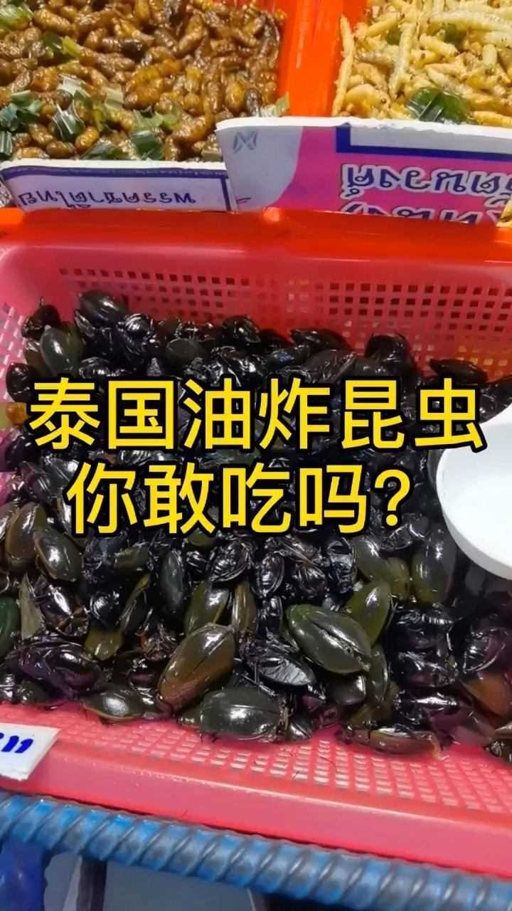 泰国油炸昆虫你敢吃吗?