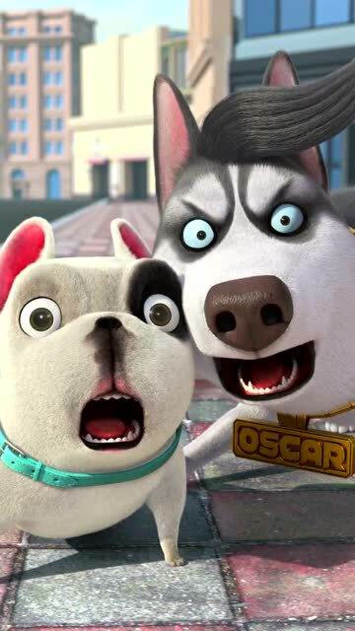 飞狗moco美女一般都是不好惹的