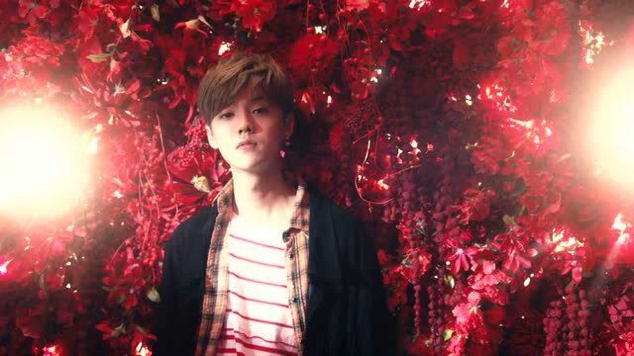 鹿晗《微白城市》mv