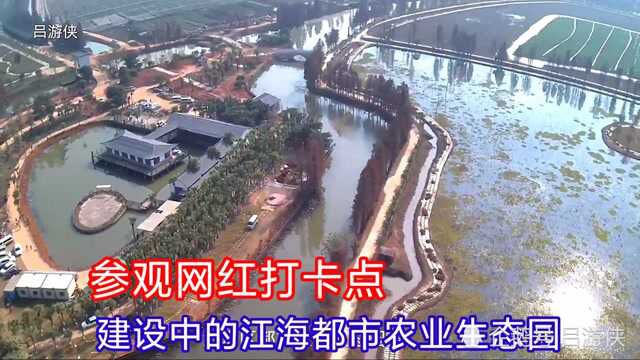 江门又一网红打卡点,建设中的江海都市农业生态园