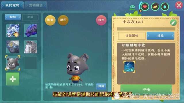 创造与魔法:融合小灰灰!没想到就是抱抱熊换了个皮肤?