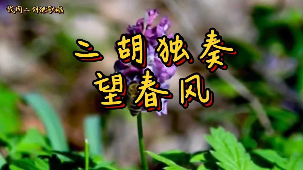二胡独奏台湾民谣《望春风》
