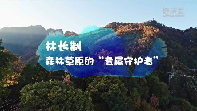 林长制 森林草原的“专属守护者”