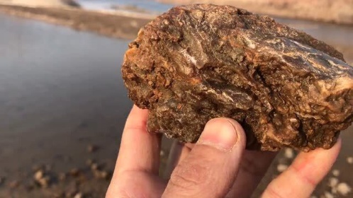 沙姜石在沂河里分布甚广,其造型独特,颇有神韵,堪称盆景神石