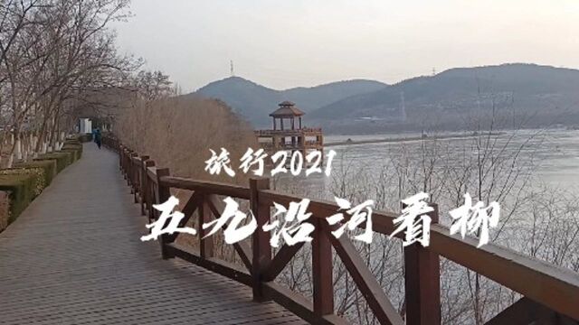 2021旅行大连西山湖公园,柳树发出嫩嫩的新芽,很有诗情画意