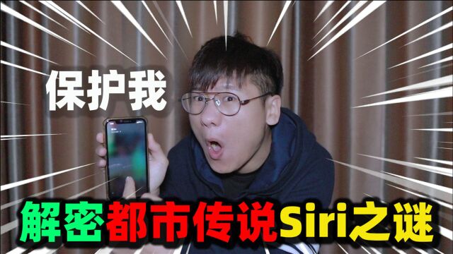 解密都市传说:手机SIRI之谜,没想到它自动回复把秘密都抖出来了