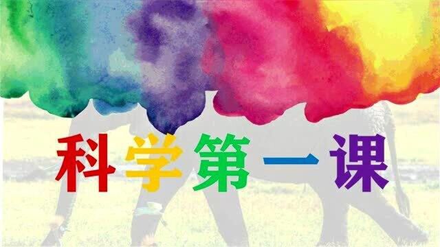 部编版一年级下册科学开学第一课