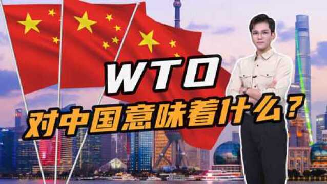 20年GDP翻了10倍!加入WTO,给中国带来了什么好处?