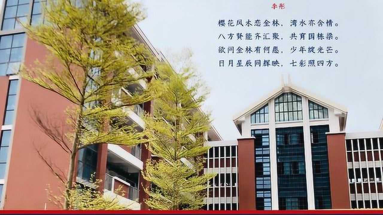 金林湾实验小学图片