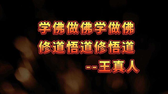 学佛做佛学做佛,修道悟道修悟道. 王真人