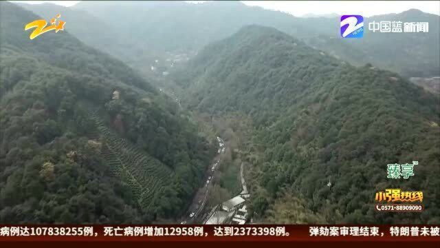 风景“浙”边好:出游热情高涨 浙江多个景区分流限流