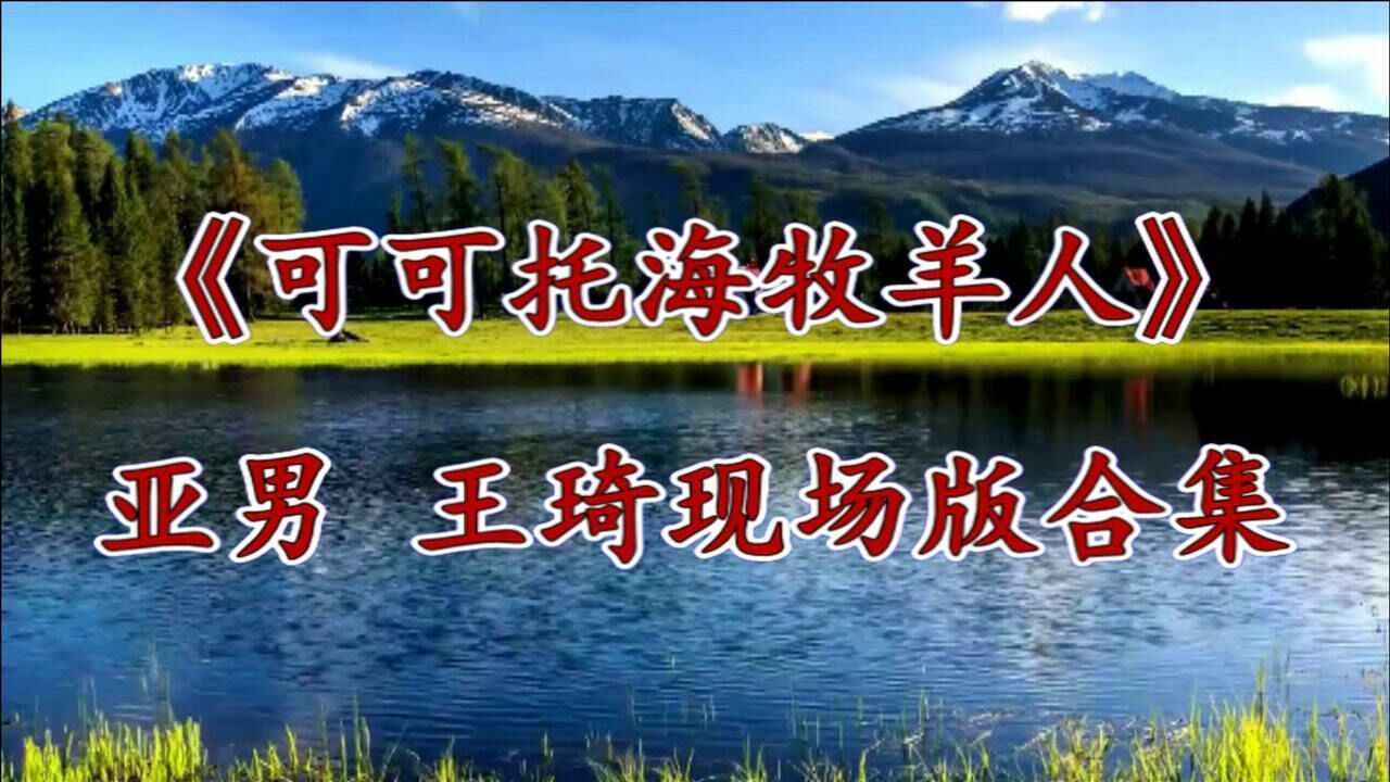 网红歌曲可可托海的牧羊人现场版亚男和王琦二个版本合集