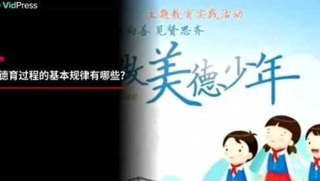 品德教育过程的基本规律有哪些?