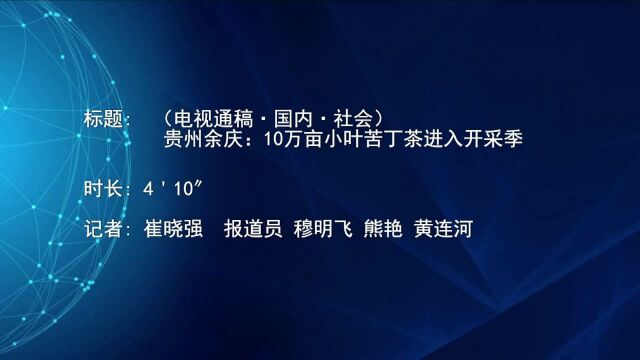 (电视通稿ⷥ›𝥆…ⷧ侤𜚩贵州余庆:10万亩小叶苦丁茶进入开采季