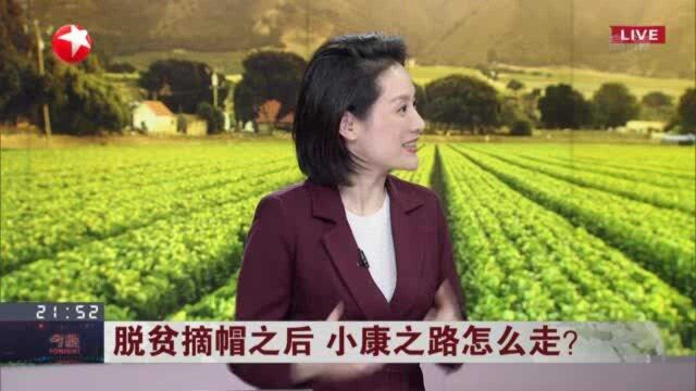 脱贫摘帽之后 小康之路怎么走? 将上海教育的成熟经验“固化”下来