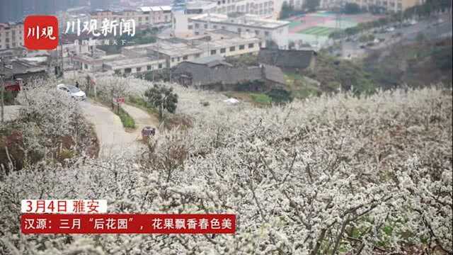 雅安汉源:三月“后花园”,花果飘香春色美