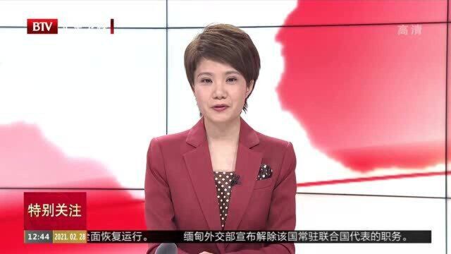 陕西渭河支流石川河首现小天鹅