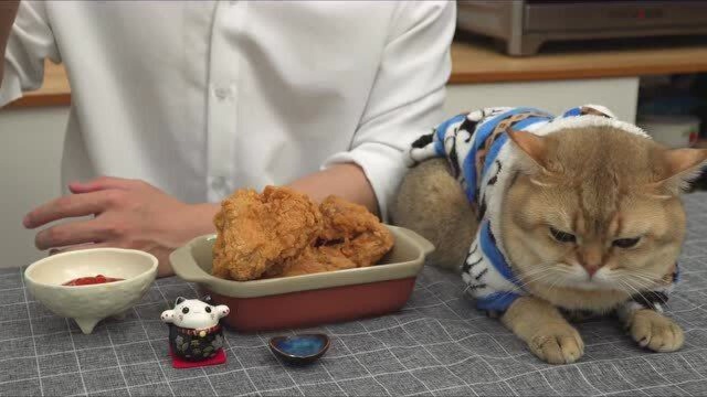 【美味食谱】自制KFC炸鸡