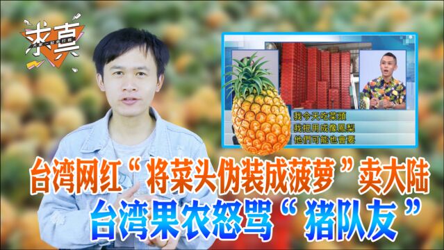 谁给你的勇气?台湾网红“将菜头伪装成菠萝”卖大陆 台湾果农怒骂“猪队友”