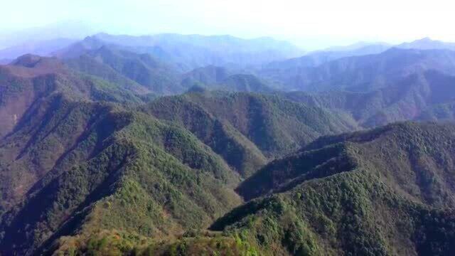 武宁县聚力构建优美自然生态 绿色发展扬优成势