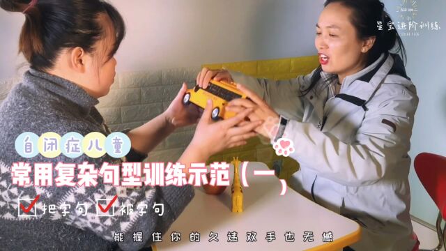 自闭症儿童常见常用复杂句型:把和被字句训练示范(一)