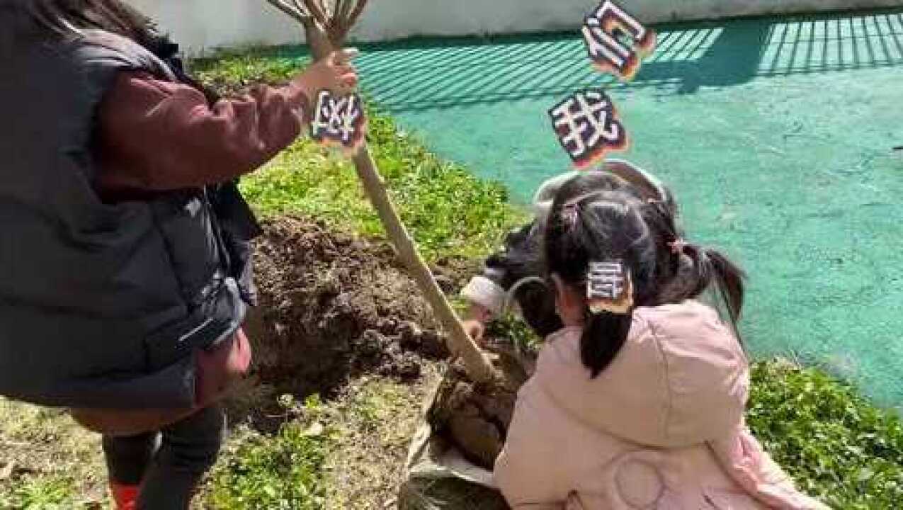 植树视频我们一起来种树吧_高清1080P在线观看平台_腾讯视频