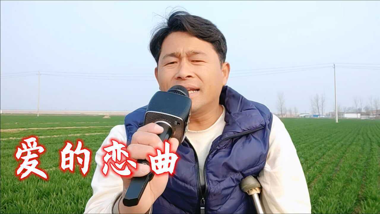 双拐全哥一曲超甜情歌《爱的恋曲》,优美的旋律,不知不觉爱上你!