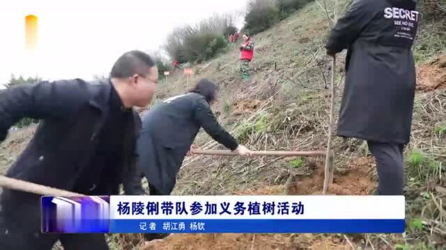 杨陵俐带队参加义务植树活动