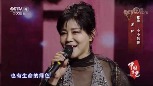 苏红《小小的我》,中国文艺,回味经典春晚歌曲!