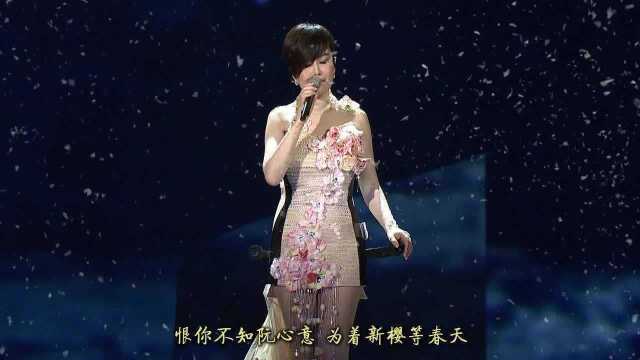 太令人伤感了 为爱默默付出的闽南语歌曲 江蕙《花若离枝》