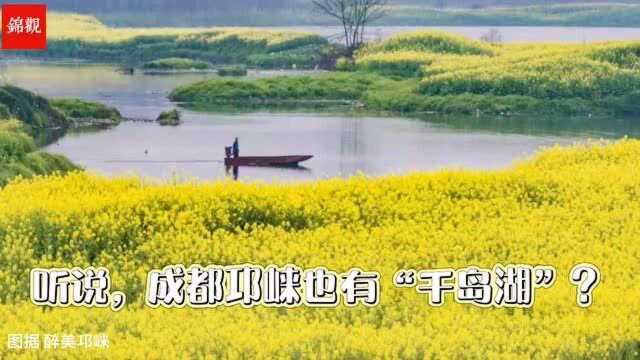 耍郊 | 泛舟邛崃“千岛湖” 遍赏“水乡”油菜花