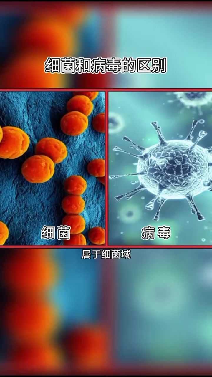 细菌较大光学显微镜就能看到病毒及其微小需要电子显微镜才能看到