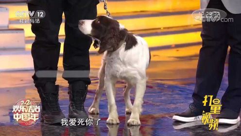 警犬被训导员带上央视节目，现场表演“绝活”令人称赞