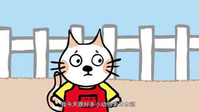 小猫汤米:汤米要学狗刨,学狗刨是很累的呀,汤米能坚持住吗