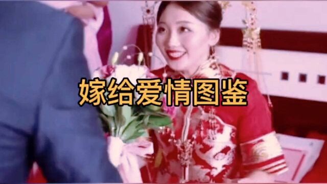 爱情甜蜜图鉴