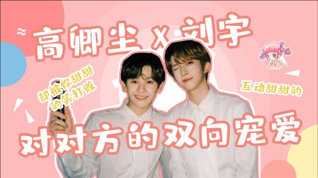 【高卿尘x刘宇】九宇初晴也太甜了吧,是甜蜜的双向宠爱啊