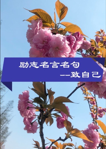 励志名人名言 任何事情,坚持了就是神话,放弃了就是笑话.