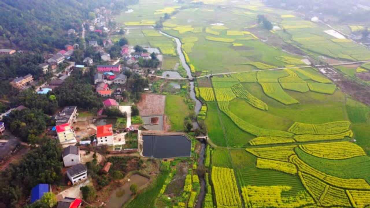一镜到底!航拍油菜花开时的湖南美丽乡村——衡阳县杉桥镇东日村