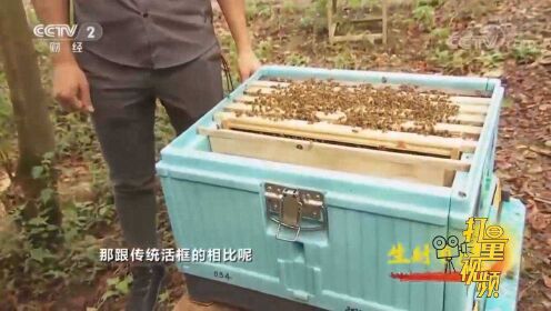 开化网红蜂农，利用数字化智慧蜂箱养蜂，收入可观