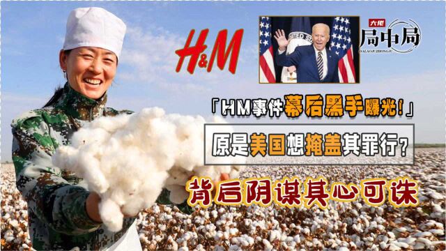 HM事件幕后黑手曝光!原来是美国想掩盖其罪行?不料我国做法是在太刚