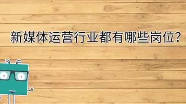 新媒体运营行业都有哪些岗位?