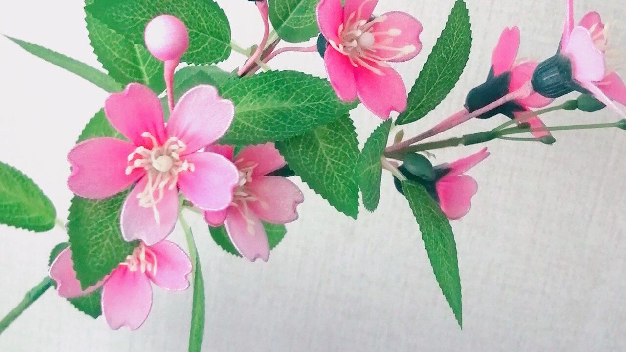 手工丝网花樱花教程 #手工diy# #手作