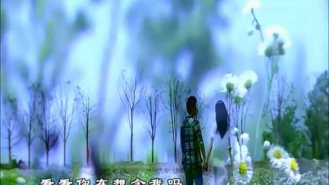 《月光里的思念》(林红词,孙思源曲,杨春雨演唱)