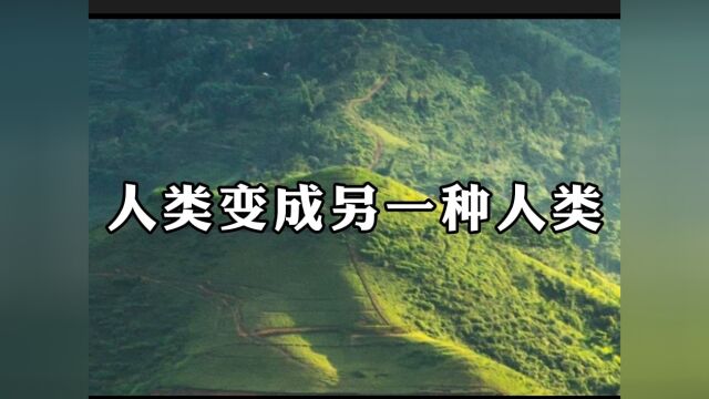 《感知新人类》:人类变成另一种人类