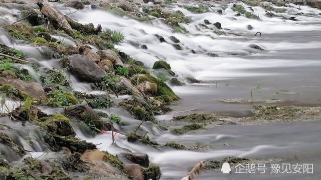 春以到万物开 清风吹绿岸边柳流水逝去百花愁安阳八大景善应松涛之小南海