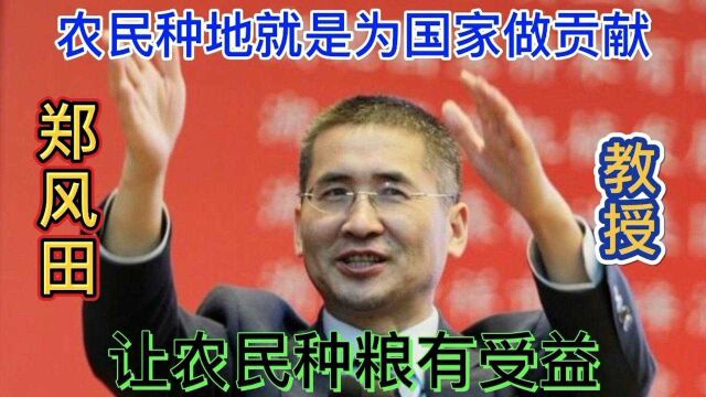 郑风田教授:要照顾种粮农民利益,要让农民种地有收入