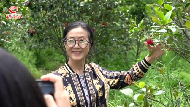 垃圾分类之花,在广州“海拔最高村”盛开