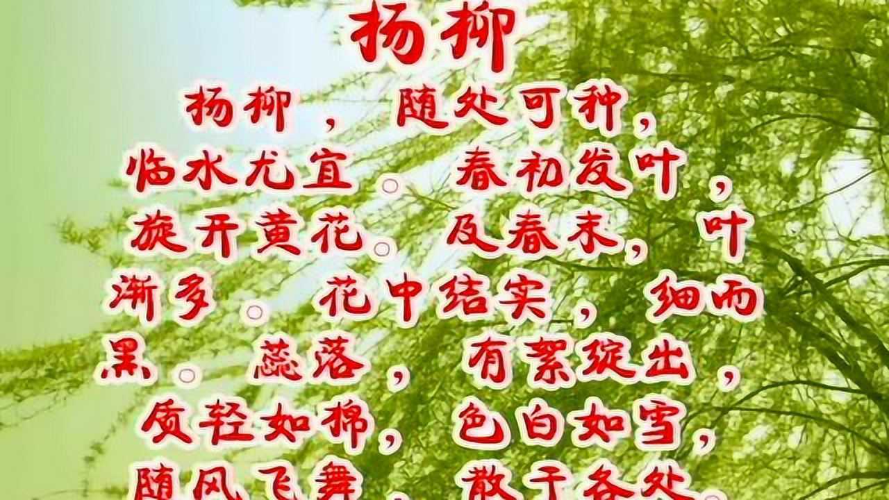 乐学小古文杨柳