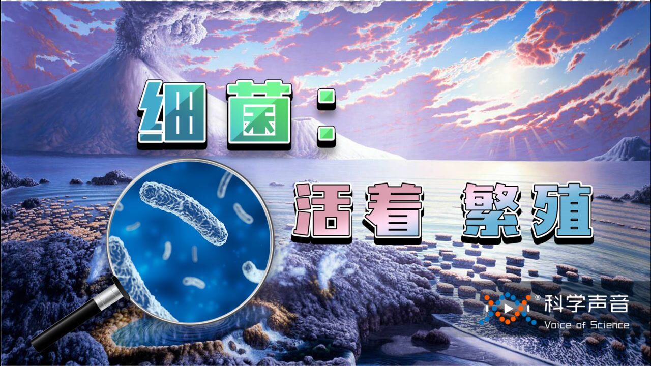 太空百科全解_太古代没有氧气，细菌成为复杂生命的祖先，而进化的推手原来是线粒体_高清1080P在线观看平台_腾讯视频